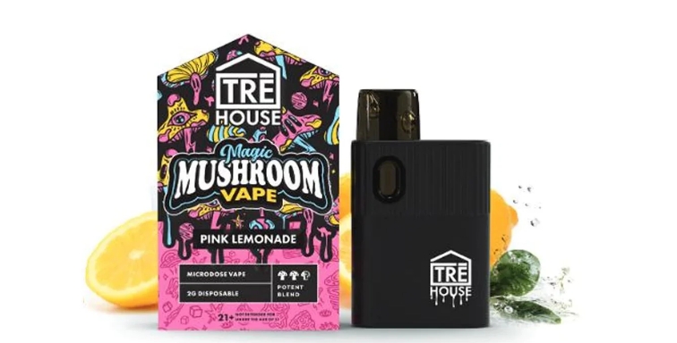  Mushroom Disposable Vape Review