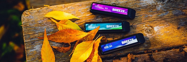 Breeze Pro Blueberry Watermelon disposable vape