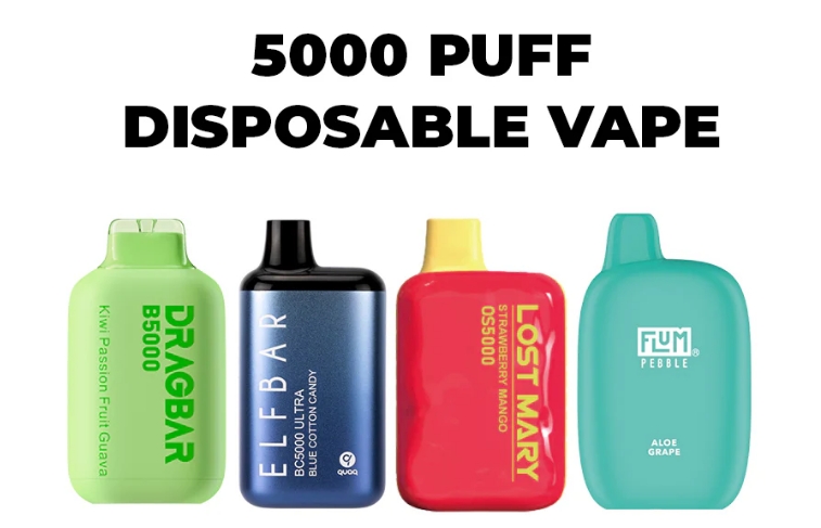 Vape 5000 Puffs Disposable Vapes