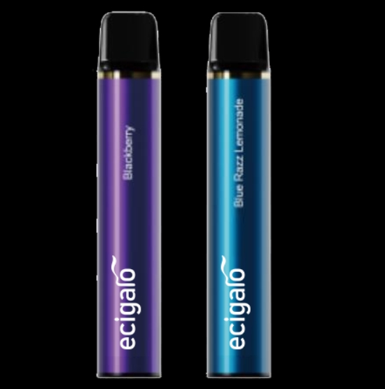 600 Puffs Disposable Vape 2ml E-liquid capacity OPAL (D76)