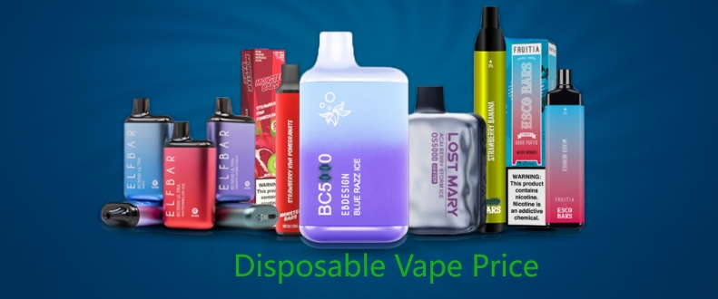 Disposable Vape Price